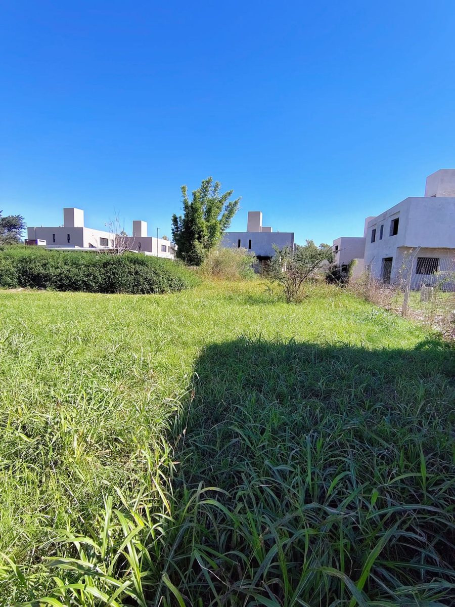 Miniatura 3 — Venta Terreno / Lote Calle Pública 100 Pajas Blancas