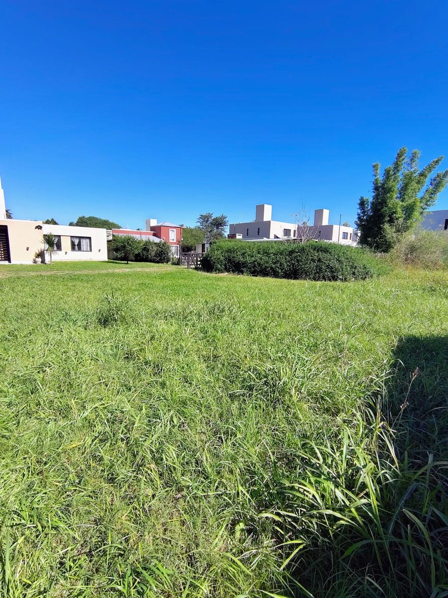 Miniatura 4 — Venta Terreno / Lote Calle Pública 100 Pajas Blancas