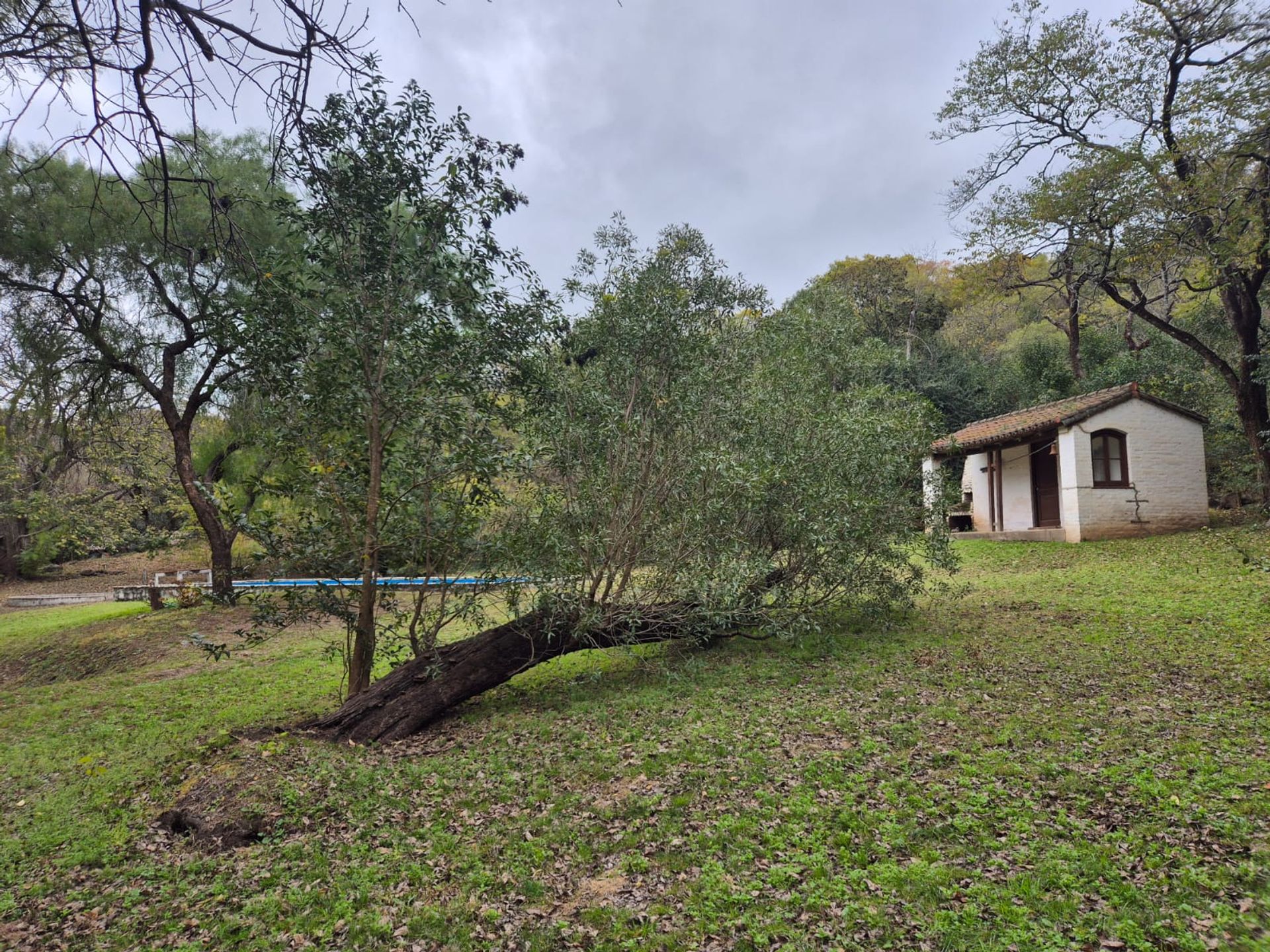 Miniatura 6 — Venta Casa / Casona Colonial La Granja
