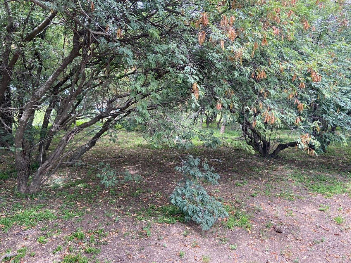 Miniatura 2 — Venta Terreno / Lote Ruta Provincial C45 S/N Valle del Golf