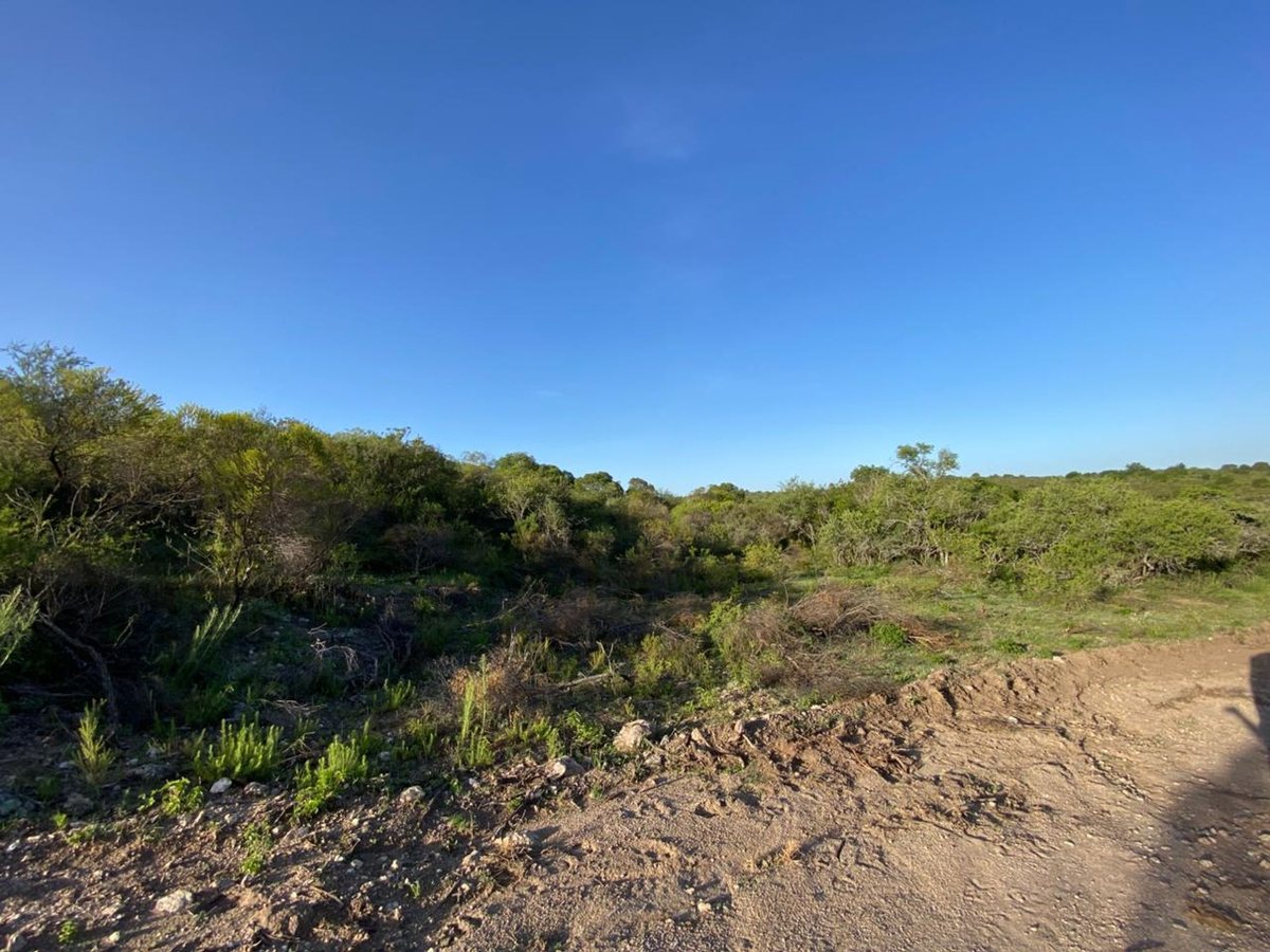 Miniatura 4 — Venta Terreno / Lote Calle Pública 100 Tanti