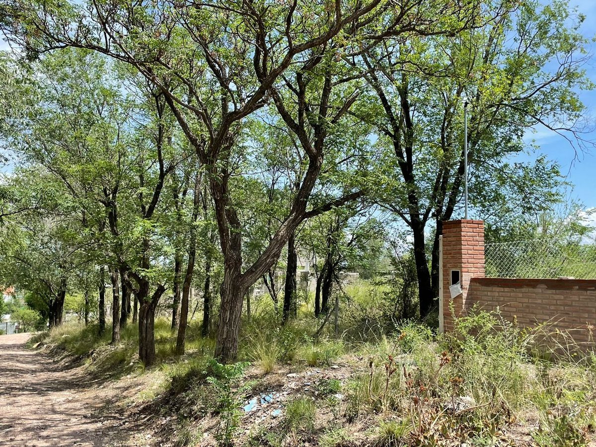 Miniatura 3 — Venta Terreno / Lote Calle Pública 100 Bialet Masse