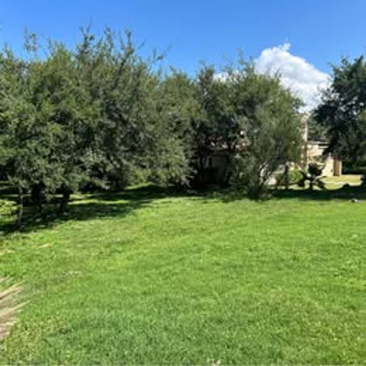 Miniatura 3 — Venta Terreno / Lote Calle Pública 100 Las Corzuelas
