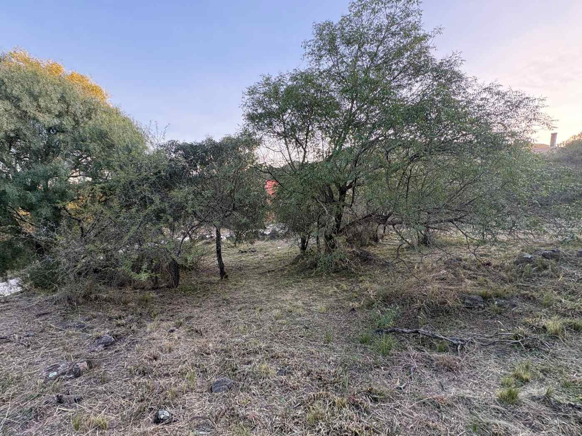 Miniatura 25 — Venta Terreno / Lote Colectora 0 Tierralta Comarca Serrana