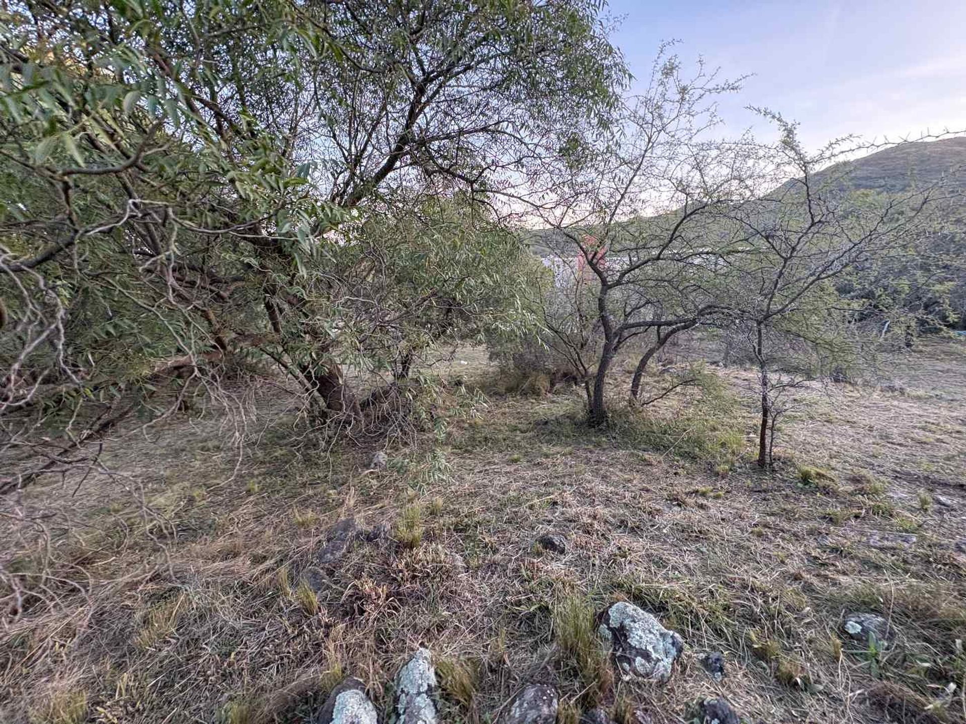 Miniatura 34 — Venta Terreno / Lote Colectora 0 Tierralta Comarca Serrana