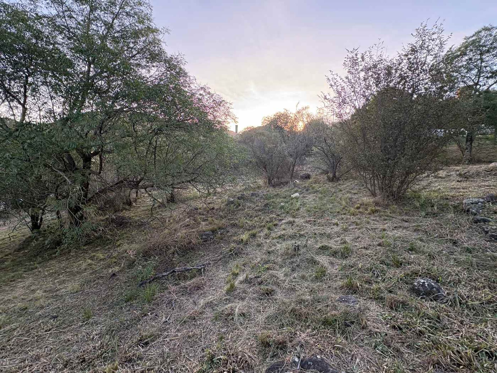 Miniatura 26 — Venta Terreno / Lote Colectora 0 Tierralta Comarca Serrana