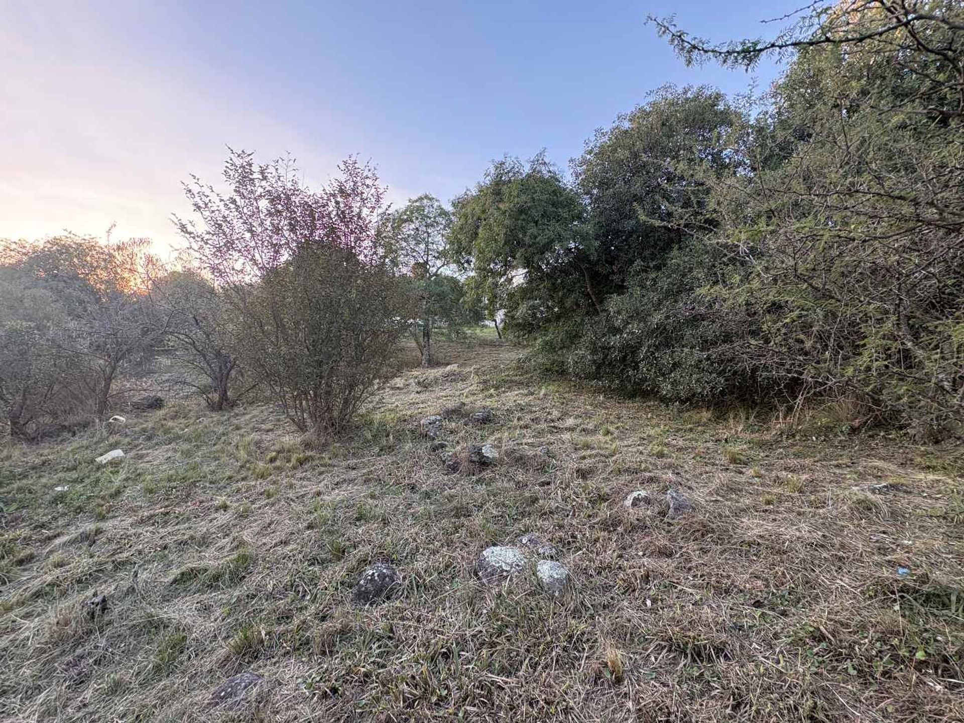 Miniatura 27 — Venta Terreno / Lote Colectora 0 Tierralta Comarca Serrana