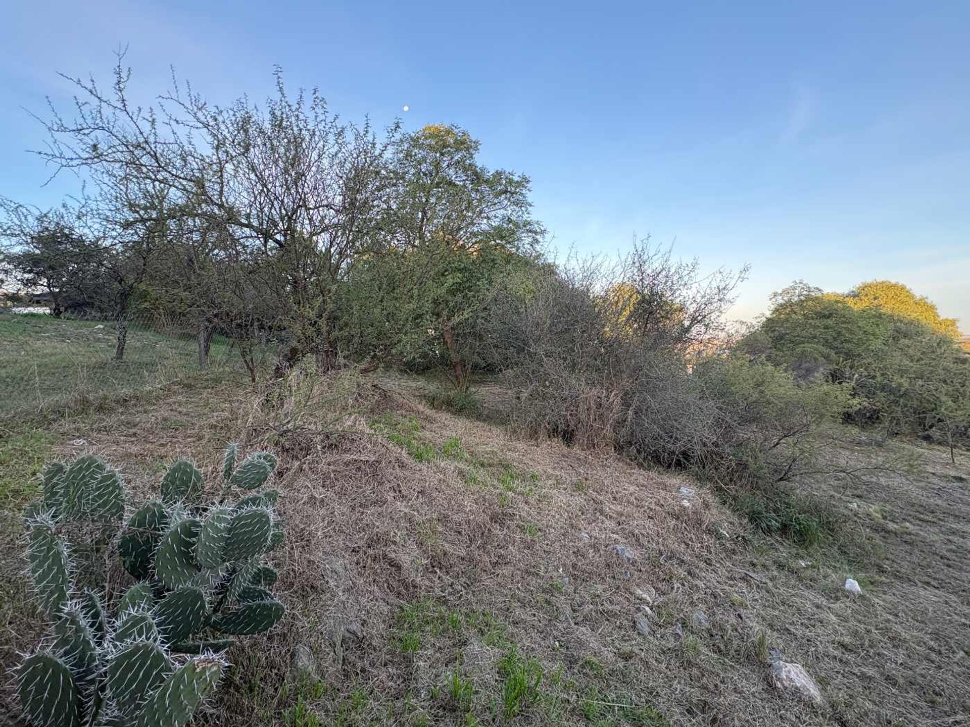 Miniatura 3 — Venta Terreno / Lote Colectora 0 Tierralta Comarca Serrana