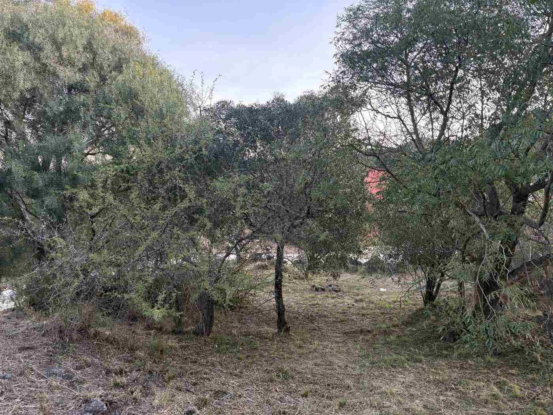 Miniatura 33 — Venta Terreno / Lote Colectora 0 Tierralta Comarca Serrana