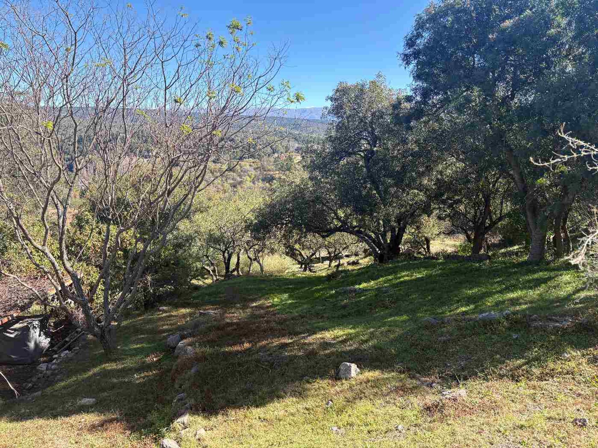 Miniatura 4 — Venta Terreno / Lote Sin Numero S/N Posta Carreta Club de Campo