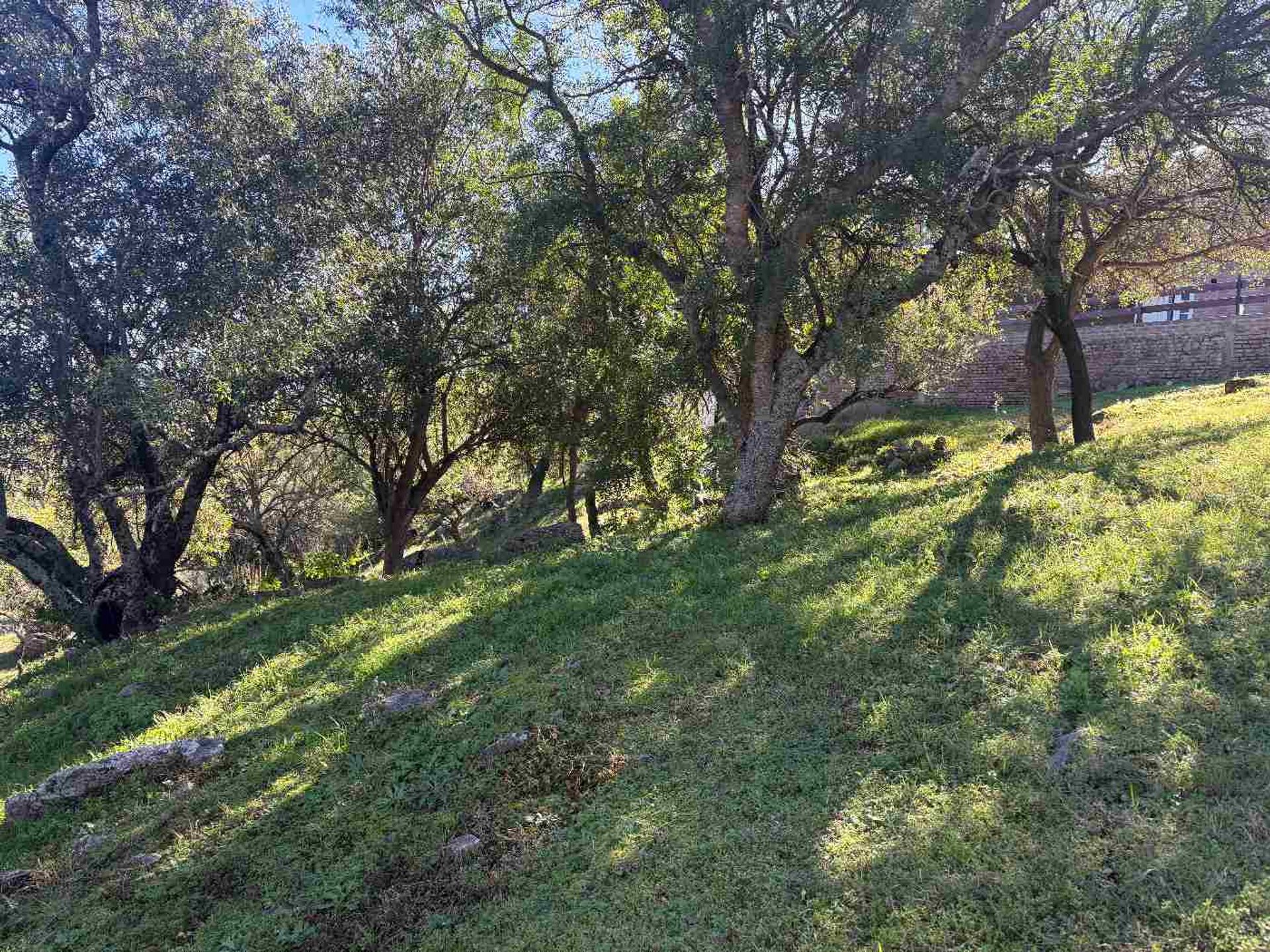Miniatura 6 — Venta Terreno / Lote Sin Numero S/N Posta Carreta Club de Campo