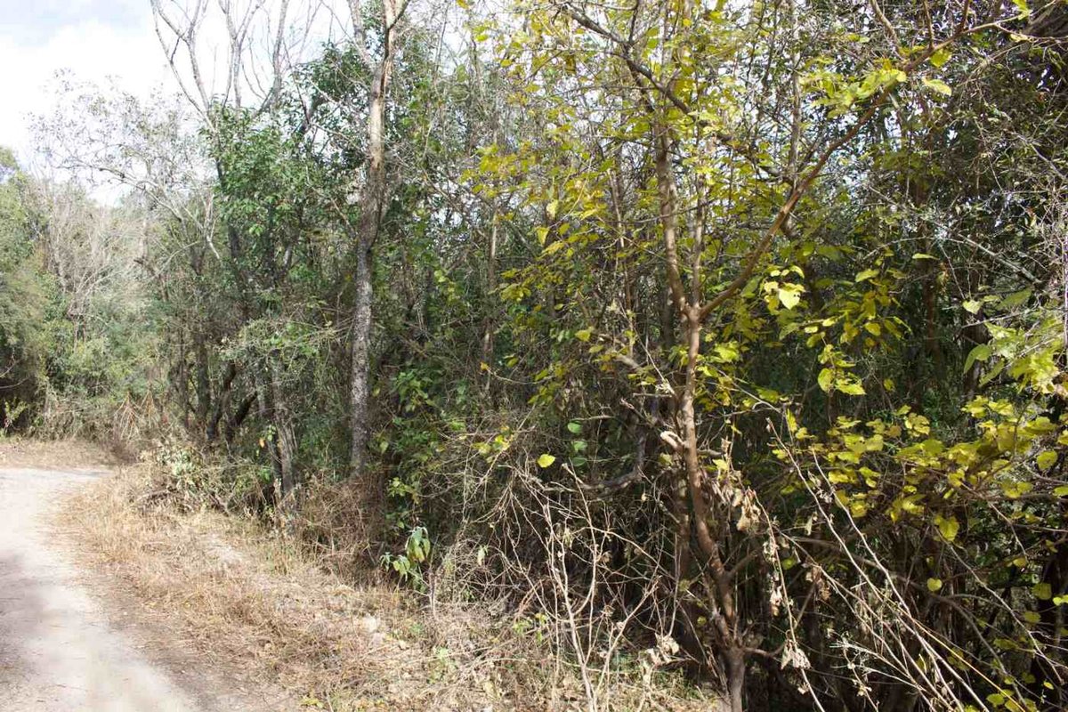 Vista principal de Terreno / Lote en Barrio Cosquin