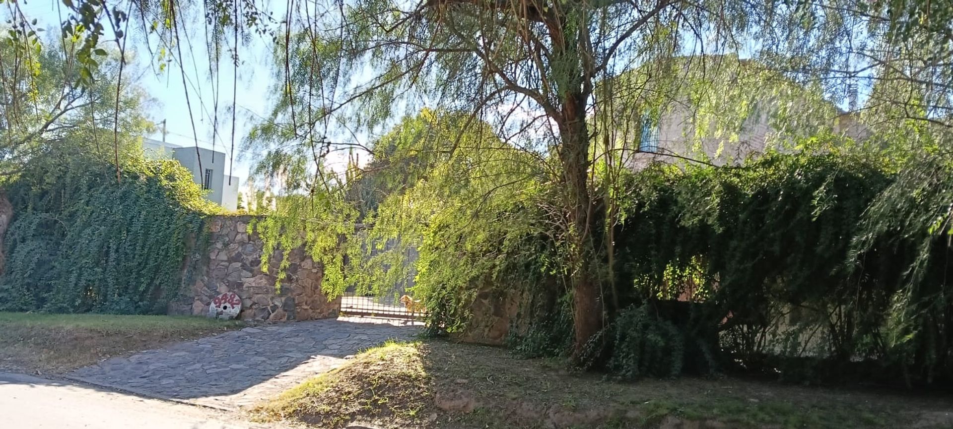 Miniatura 4 — Venta Casa Calle Pública 100 Rincón de Luna 9400