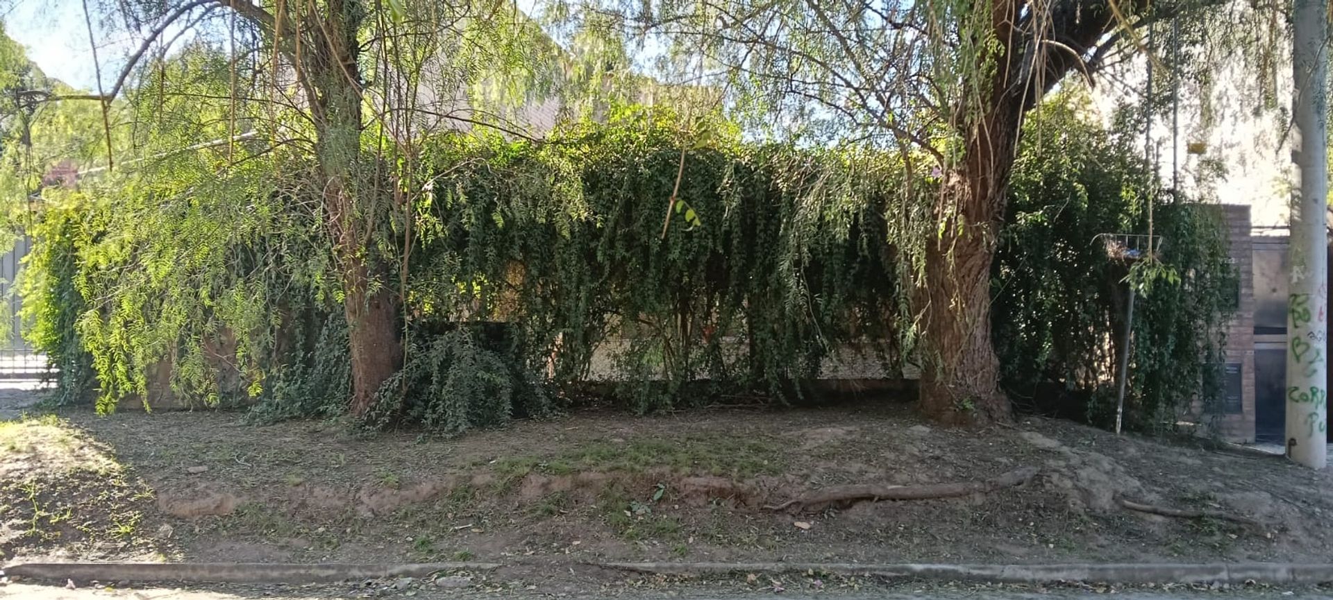 Miniatura 3 — Venta Casa Calle Pública 100 Rincón de Luna 9400