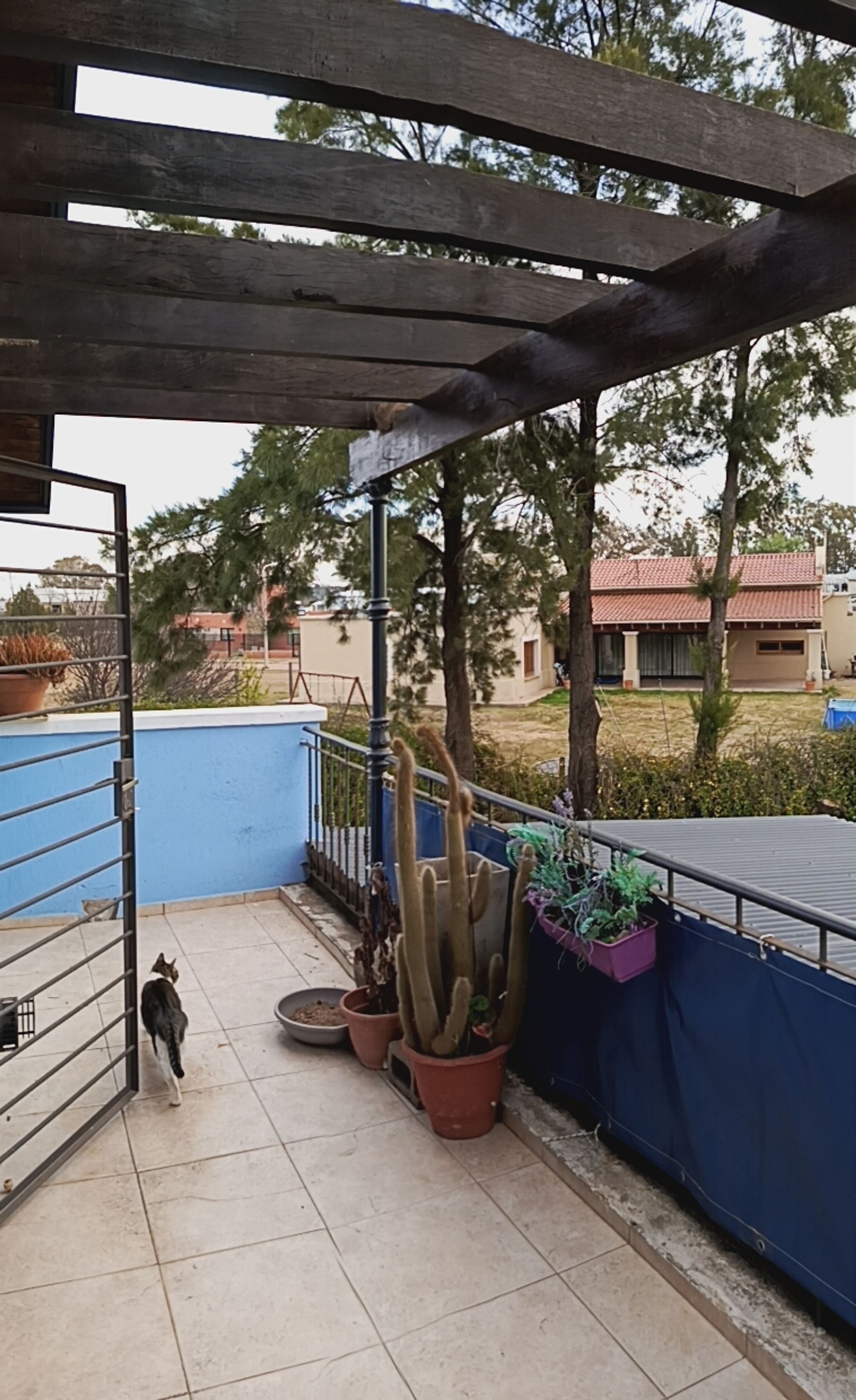 Miniatura 12 — Venta Casa Sinsacate