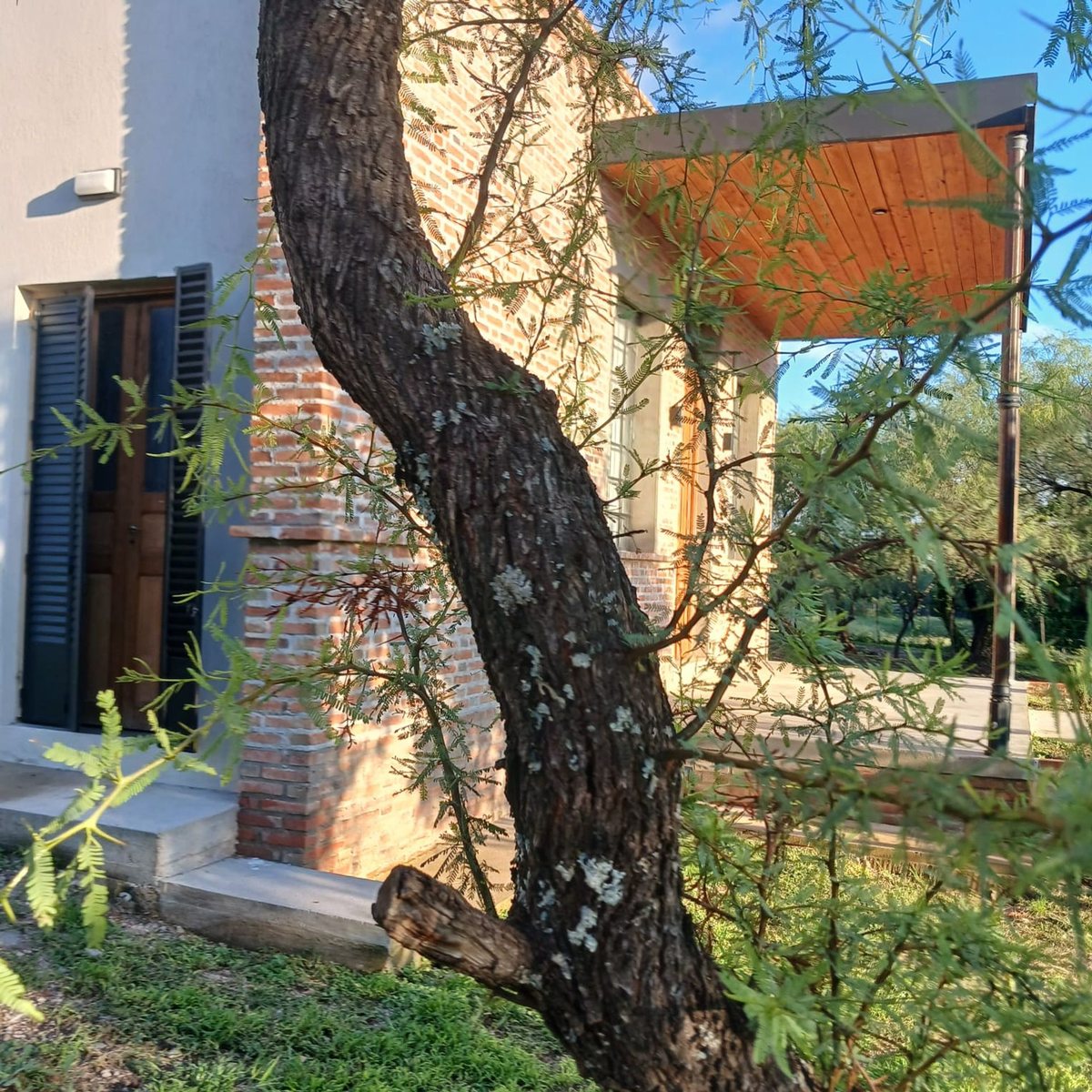 Miniatura 5 — Venta Casa Luyaba 100 Luyaba 100